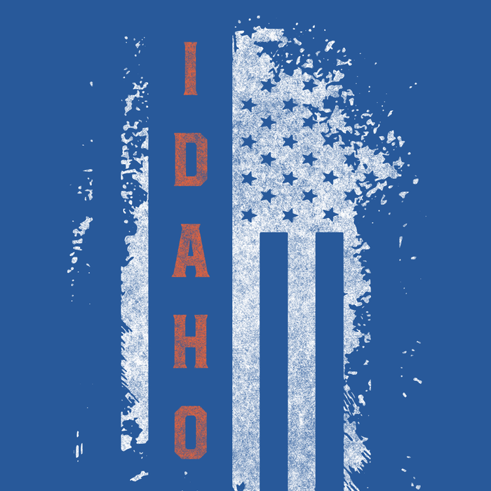 Idaho US Flag Blue Tee