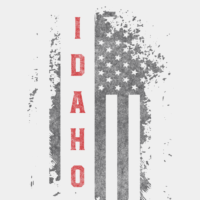 Idaho US Flag White Tee