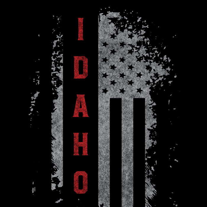 Idaho US Flag Black Tee